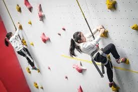 德甲身价最贵阵容发布！11人阵容仅两人非拜仁球员