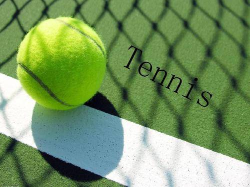 在速度滑冰 在速度滑冰